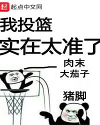 我投篮实在太准了封面