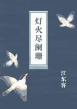 灯火尽阑珊封面