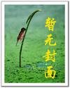 最佳后补情人封面