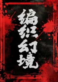 ��֯�þ���1v2������