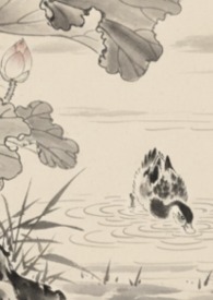 ȫ���Ƕ��ڵ��ҳ����� 1v1����