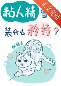 ճ�˾�ѩ��װʲô�������