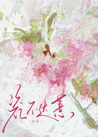 �ɲ���޲����