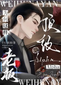 ����Alpha�ϰ�Ϊ����������