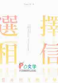 ѡ�����ŷ���