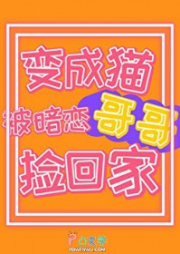 �٣����ר��ë������������