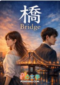 �� Bridge����