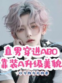 ֱ�д���ABO��װA������ò����