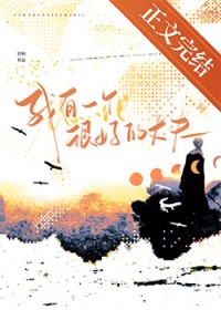 ����һ���ܺõ��ɷ����