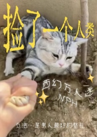 ���������෢���ˣ�����NPH ��ȫ�ࣩ����