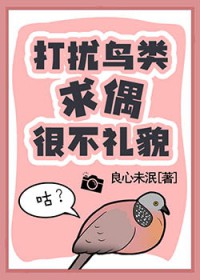 ����������ż�ܲ���ò����